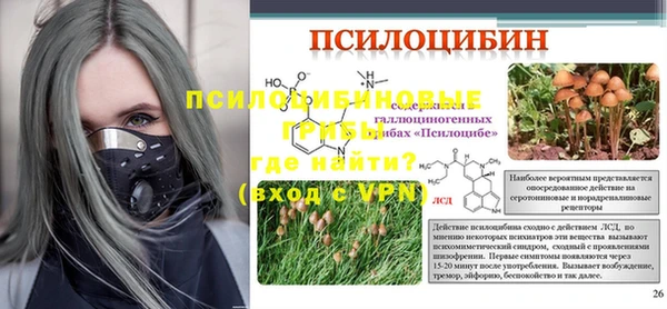 МДПВ Алексеевка
