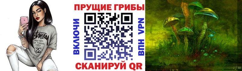 Галлюциногенные грибы ЛСД  Юрьев-Польский 